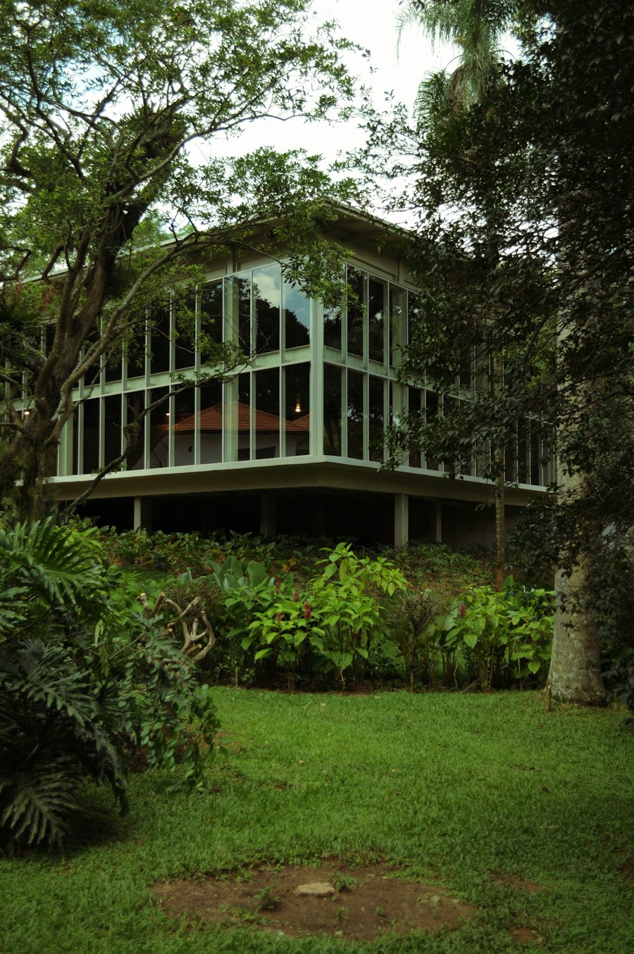 Arquitetura envidraçada entre árvores e vegetação densa, imagem ilustrativa